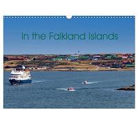 In the Falkland Islands (Wall Calendar 2026 DIN A3 landscape), CALVENDO 12 Month Wall Calendar: British overseas territory in the South Atlantic