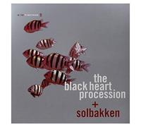 In the Fishtank/Silver