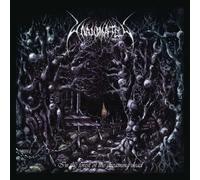 in Forest of The Dreaming Dead (Re-Issue 2021)