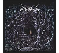 In The Forest Of The Dreaming Dead (Re-Issue Cd Album21) - Vinyle