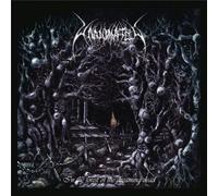 In the Forest of the Dreaming Dead (Re-Issue 2021)