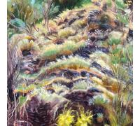 IN THE HALF LIGHT by Swim Surreal [CD] NEUF