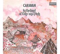 In The Land Of Grey And.. [12 Inch Analog]