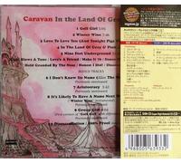 In The Land Of Grey And Pink