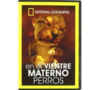 In the Maternal Womb: Dogs [ NON-USA FORMAT, PAL, Reg.0 Import - Spain ]