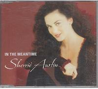 in The Meantime (2001/02, INCL. Karaoke) [Import]