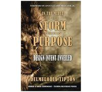 In The Midst Of The Storm There Is Purpose
