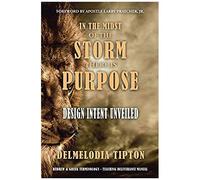 In The Midst Of The Storm There Is Purpose