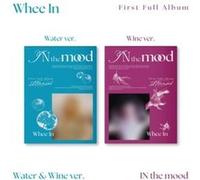 In The Mood - Photobook Version