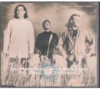 IN THE MORNING CD EUROPEAN GIANT 1994 4 TRACK B/W CANDLE 99, BITTERSWEET AND IT'S ALRIGHT (74321233882)