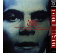 In the Nursery – Ambush of Ghosts – CD