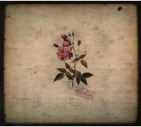 In the Pines - in The Pines [Import]