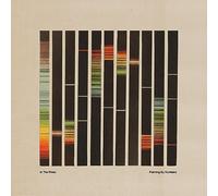 In the Pines - Painting by Numbers-Orange