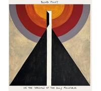 in Shadow of The Holy Mountain