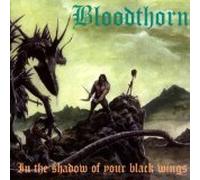 In the Shadow of Your Black Wings [IMPORT]