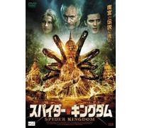 In the Spider's Web [Import allemand]