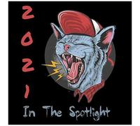 In The Spotlight: 2021 Calendar Planner Audition Book 12 Months Calendar Agenda With Journal European Version