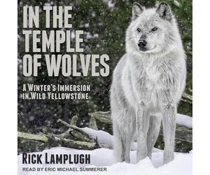 In the Temple of Wolves: A Winter's Immersion in Wild Yellowstone