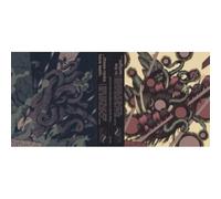 Various Artists – In The Twilight, These Rocks Have Teeth