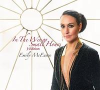 In the Wee Small Hours [Import allemand]