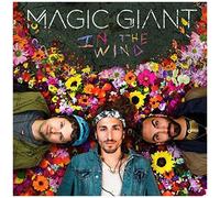 Magic Giant – in The Wind