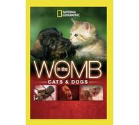 National Geographic – Dans le ventre : Chats et Chiens