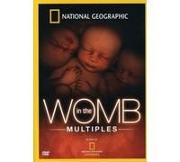 in The Womb: Multiples