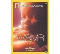 IN THE WOMB-VN G
