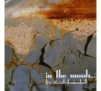 In the Woods - Live at the Caledonienhal