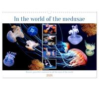 In the world of the medusae (Wall Calendar 2026 DIN A3 landscape), CALVENDO 12 Month Wall Calendar: Mysterious and interesting creatures in all the seas of the world