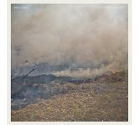 In The Yellow Leaf by Brass Bed (2013-05-04)