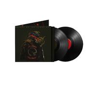 In Times New Roman… Vinyle