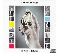 In Visible Silence