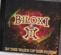 in Wake of The Storm