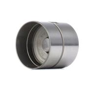 INA 420 0001 10 Poussoir hydraulique