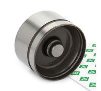 INA 420 0042 10 Poussoir hydraulique