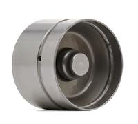 INA 420 0049 10 Poussoir hydraulique