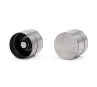 INA 420 0118 10 Poussoir hydraulique