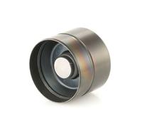 INA 420 0209 10 Poussoir hydraulique