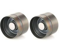 INA 420 0209 Poussoir de soupape (Lot de 2)