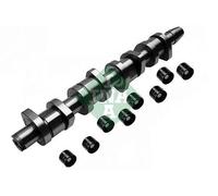 INA 428 0039 30 Jeu d'arbres à came hydraulique | Compatible avec: AUDI A3, A3 Cabriolet, A3 Sportback, A4 B7, A4 B7 Avant, A4 B7 Cabriolet, SEAT ALHAMBRA, ALTEA, ALTEA XL