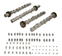 INA 428 0042 30 Jeu d'arbres à came hydraulique