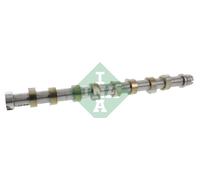 INA 428 0118 10 Arbre à came