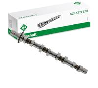 INA 428 0119 10 Arbre à came