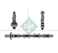 INA 428 0119 10 Arbre à cames