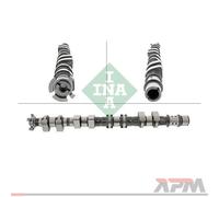 INA 428 0176 10 Arbre À Cames Pour Opel Insignia A G09 Chevrolet Cruze J300