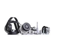 INA 529 0053 30 Pompe à eau + kit de courroie d'accessoire avec levier avec support avec matériel de montage/fixation Contrôler et changer roue libre alternateur si nécessaire