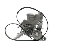 INA 529 0297 30 Pompe à eau + kit de courroie d'accessoire