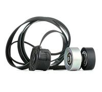 Kit de courroie multi-cannelée 529 0314 10 INA pour BMW 3 Coupé 3 X5 5 Touring 5