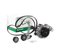 INA 529 0319 30 Pompe à eau + kit de courroie d'accessoire